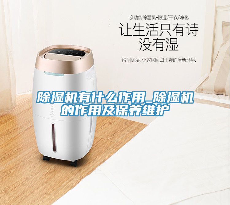 蕾丝视频污污污有什么作用_蕾丝视频污污污的作用及保养维护