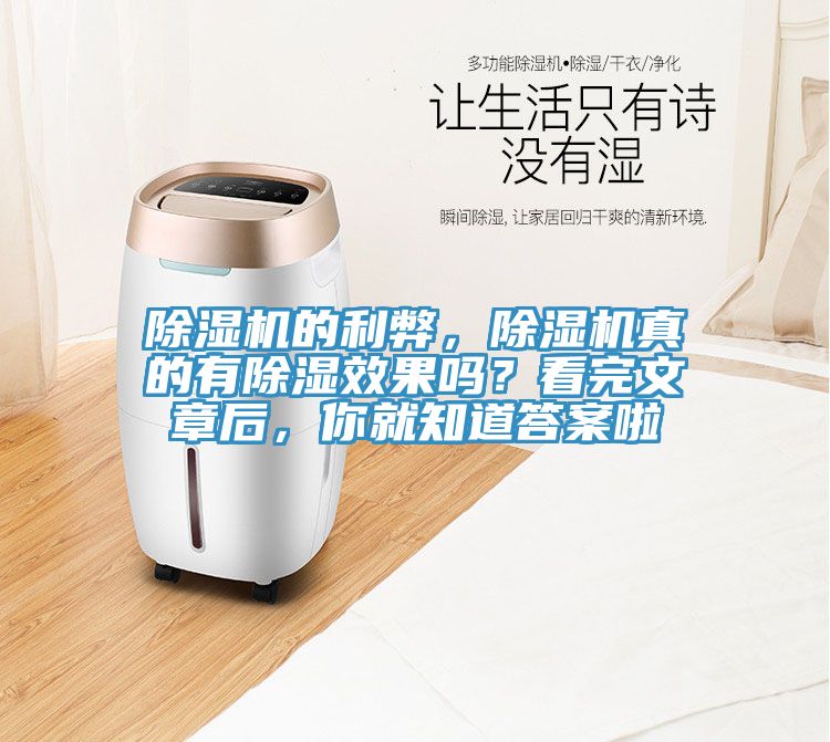 蕾丝视频污污污的利弊，蕾丝视频污污污真的有除湿效果吗？看完文章后，你就知道答案啦