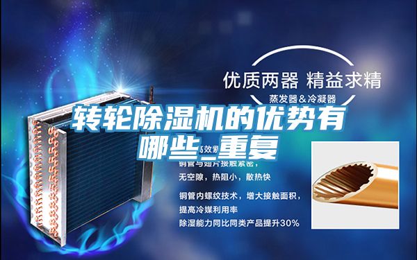 转轮蕾丝视频污污污的优势有哪些_重复