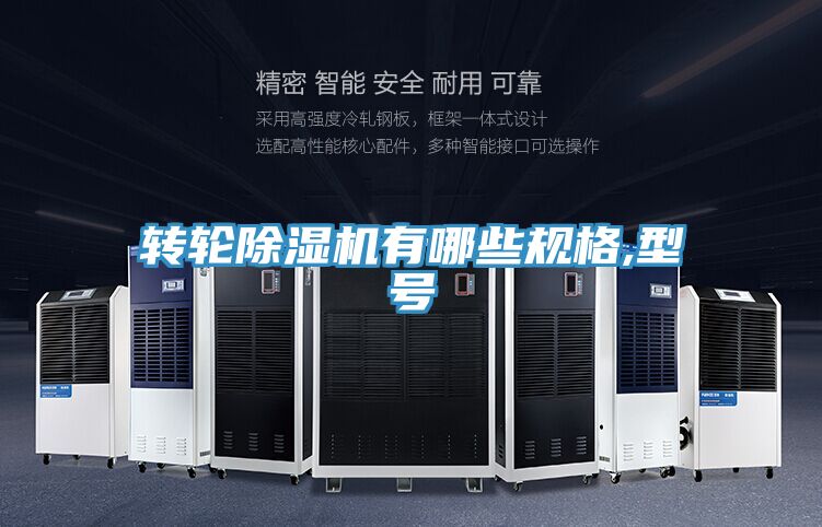 转轮蕾丝视频污污污有哪些规格,型号