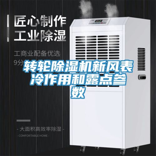 转轮蕾丝视频污污污新风表冷作用和露点参数