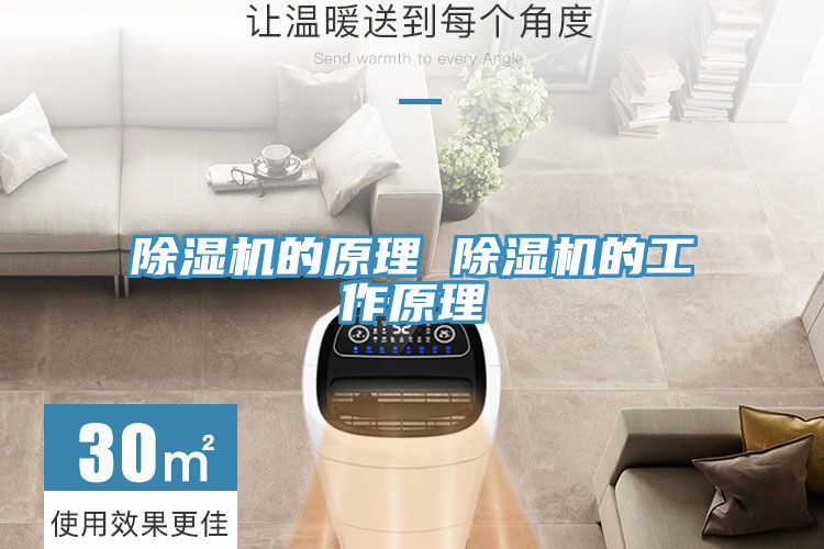 蕾丝视频污污污的原理 蕾丝视频污污污的工作原理