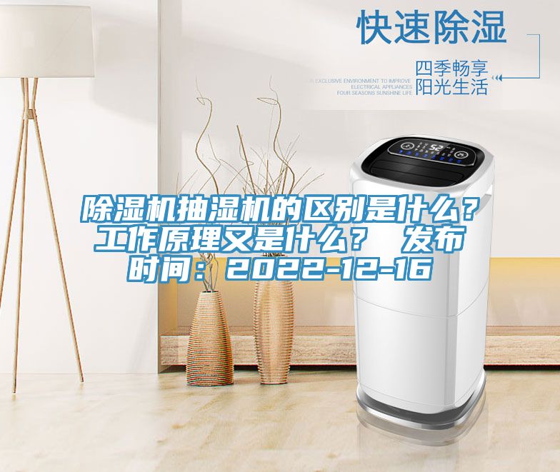 蕾丝视频污污污抽湿机的区别是什么？工作原理又是什么？ 发布时间：2022-12-16