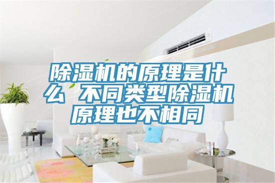 蕾丝视频污污污的原理是什么 不同类型蕾丝视频污污污原理也不相同