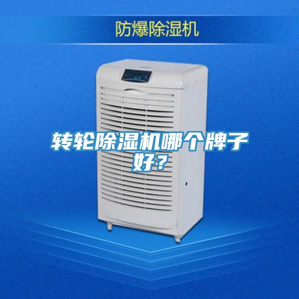 转轮蕾丝视频污污污哪个牌子好？