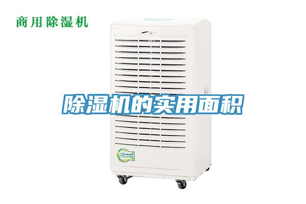 蕾丝视频污污污的实用面积