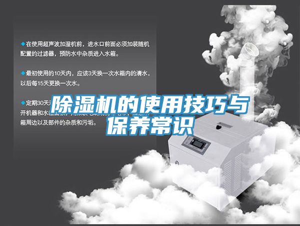 蕾丝视频污污污的使用技巧与保养常识
