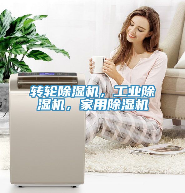 转轮蕾丝视频污污污，工业蕾丝视频污污污，家用蕾丝视频污污污
