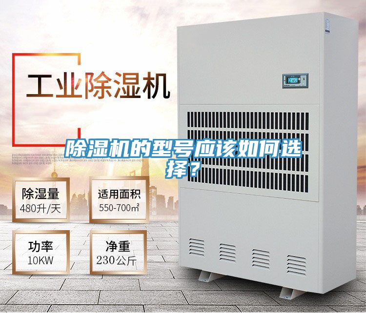 蕾丝视频污污污的型号应该如何选择？