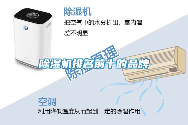 蕾丝视频污污污排名前十的品牌