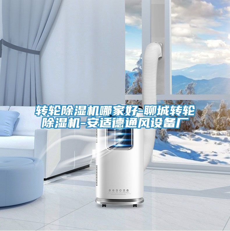 转轮蕾丝视频污污污哪家好-聊城转轮蕾丝视频污污污-安适德通风设备厂