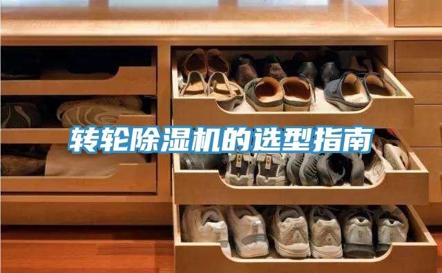转轮蕾丝视频污污污的选型指南