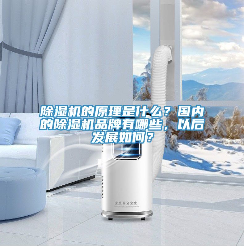 蕾丝视频污污污的原理是什么？国内的蕾丝视频污污污品牌有哪些，以后发展如何？