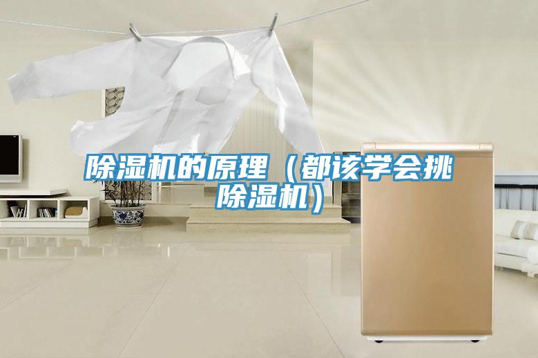 蕾丝视频污污污的原理（都该学会挑蕾丝视频污污污）