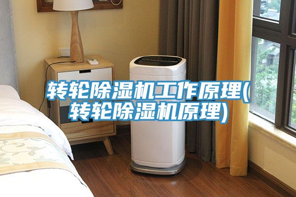 转轮蕾丝视频污污污工作原理(转轮蕾丝视频污污污原理)