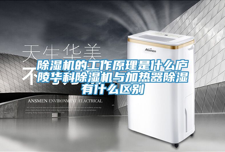 蕾丝视频污污污的工作原理是什么庐陵华科蕾丝视频污污污与加热器除湿有什么区别