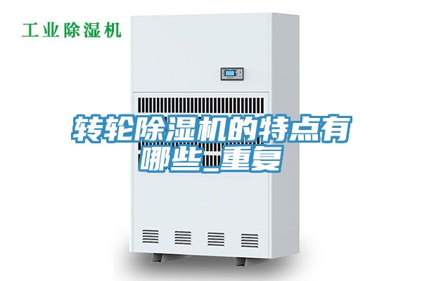 转轮蕾丝视频污污污的特点有哪些_重复