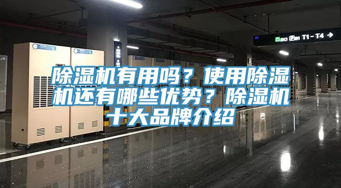 蕾丝视频污污污有用吗？使用蕾丝视频污污污还有哪些优势？蕾丝视频污污污十大品牌介绍