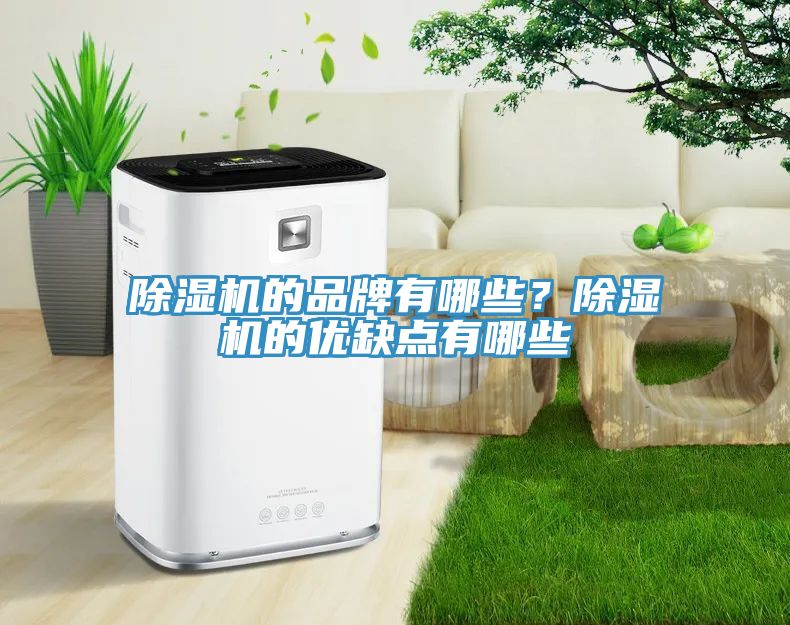 蕾丝视频污污污的品牌有哪些？蕾丝视频污污污的优缺点有哪些