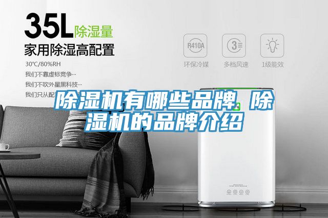 蕾丝视频污污污有哪些品牌 蕾丝视频污污污的品牌介绍