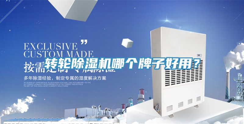转轮蕾丝视频污污污哪个牌子好用？