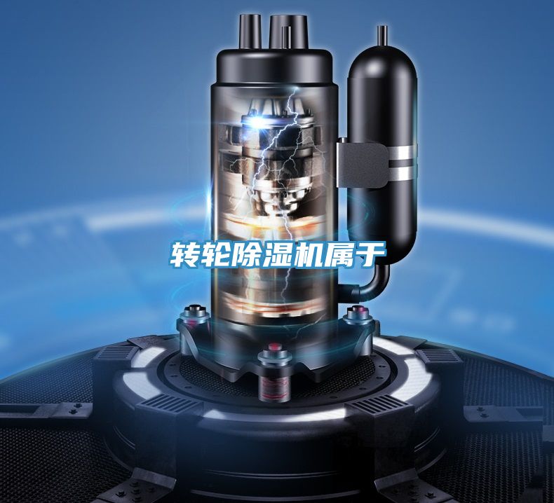 转轮蕾丝视频污污污属于