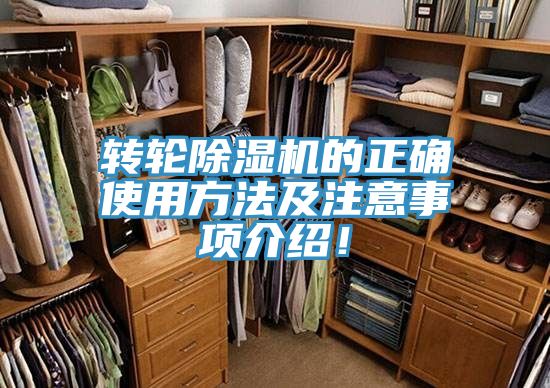 转轮蕾丝视频污污污的正确使用方法及注意事项介绍！