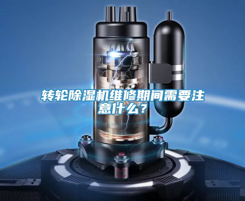 转轮蕾丝视频污污污维修期间需要注意什么？