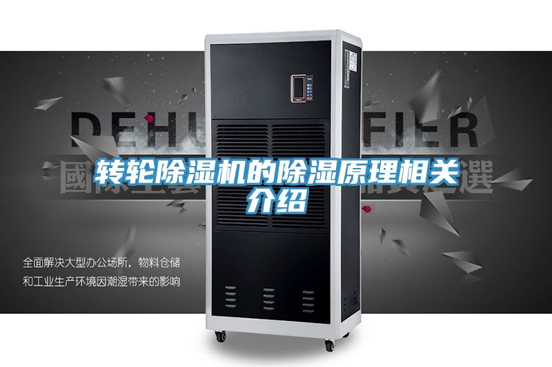 转轮蕾丝视频污污污的除湿原理相关介绍