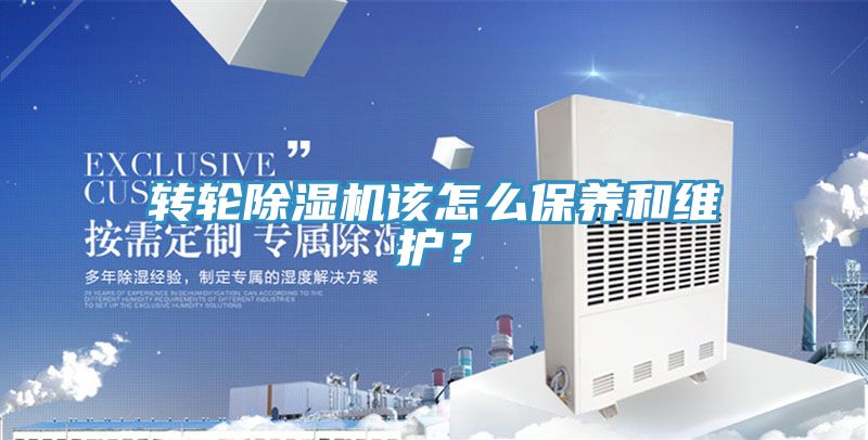 转轮蕾丝视频污污污该怎么保养和维护？