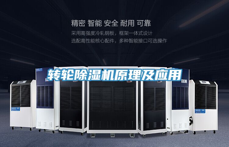 转轮蕾丝视频污污污原理及应用
