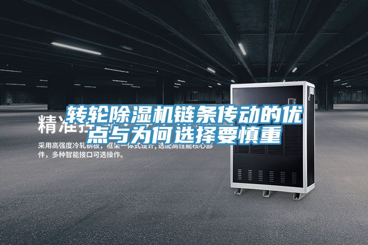 转轮蕾丝视频污污污链条传动的优点与为何选择要慎重