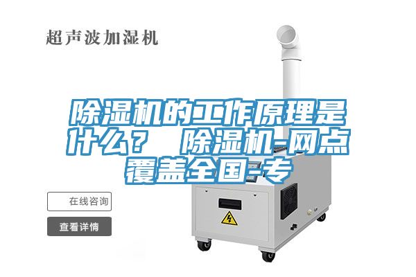 蕾丝视频污污污的工作原理是什么？ 蕾丝视频污污污-网点覆盖全国-专