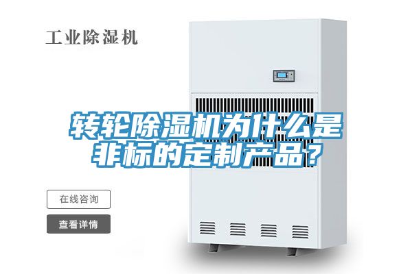 转轮蕾丝视频污污污为什么是非标的定制产品？