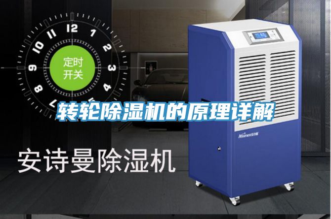 转轮蕾丝视频污污污的原理详解