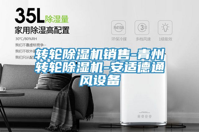 转轮蕾丝视频污污污销售-青州转轮蕾丝视频污污污-安适德通风设备