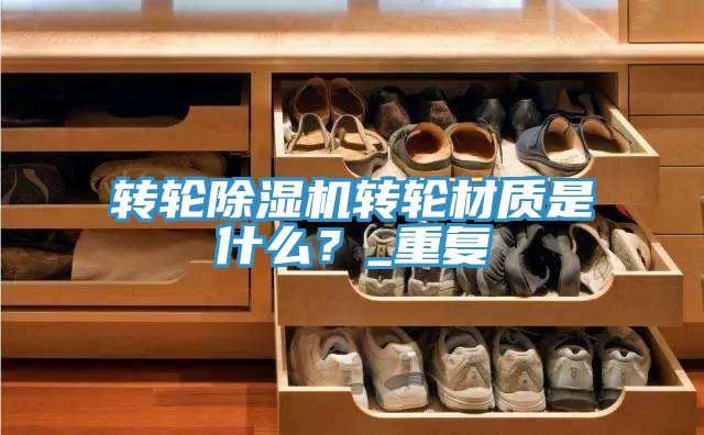 转轮蕾丝视频污污污转轮材质是什么？_重复