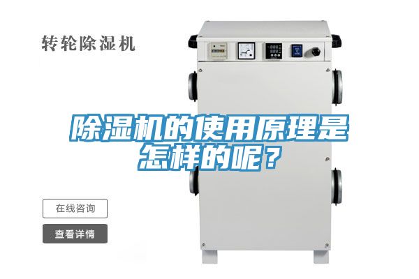 蕾丝视频污污污的使用原理是怎样的呢？