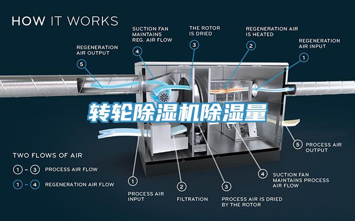 转轮蕾丝视频污污污除湿量