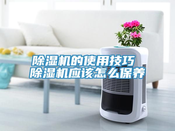 蕾丝视频污污污的使用技巧 蕾丝视频污污污应该怎么保养