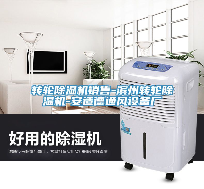 转轮蕾丝视频污污污销售-滨州转轮蕾丝视频污污污-安适德通风设备厂