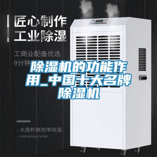 蕾丝视频污污污的功能作用_中国十大名牌蕾丝视频污污污