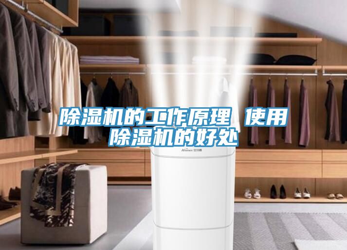 蕾丝视频污污污的工作原理 使用蕾丝视频污污污的好处