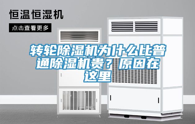 转轮蕾丝视频污污污为什么比普通蕾丝视频污污污贵？原因在这里