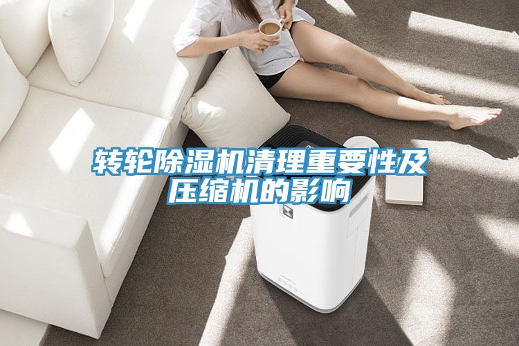 转轮蕾丝视频污污污清理重要性及压缩机的影响