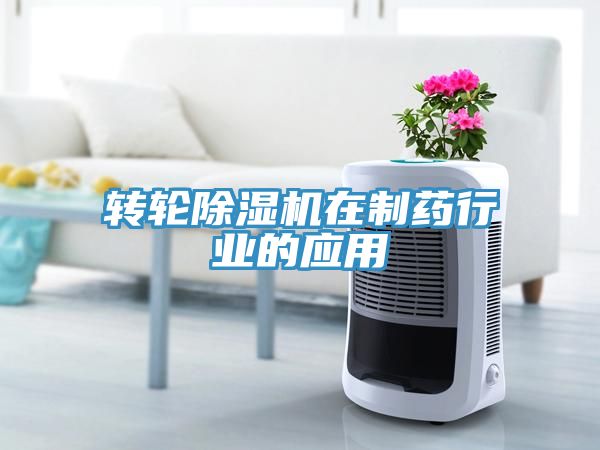 转轮蕾丝视频污污污在制药行业的应用