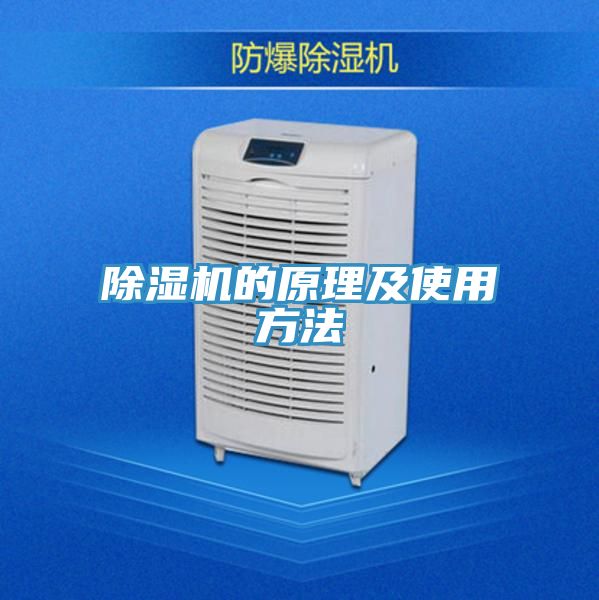 蕾丝视频污污污的原理及使用方法