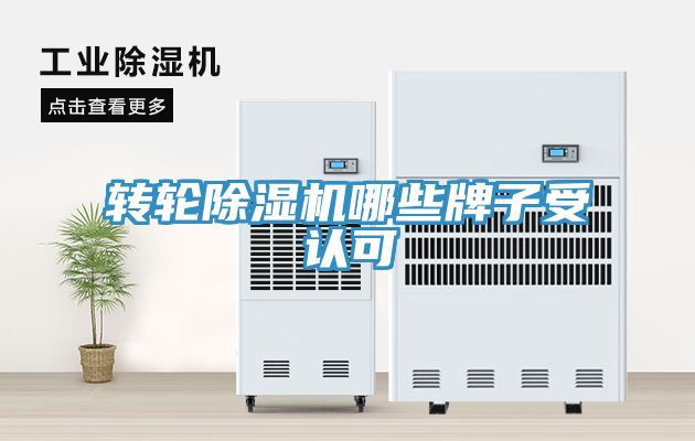 转轮蕾丝视频污污污哪些牌子受认可
