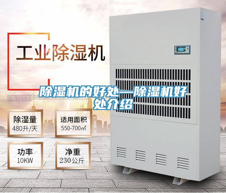 蕾丝视频污污污的好处—蕾丝视频污污污好处介绍