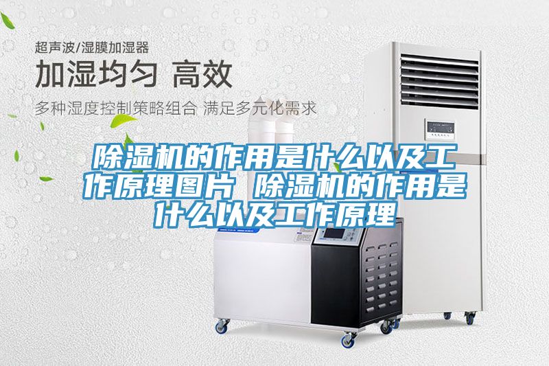 蕾丝视频污污污的作用是什么以及工作原理图片 蕾丝视频污污污的作用是什么以及工作原理